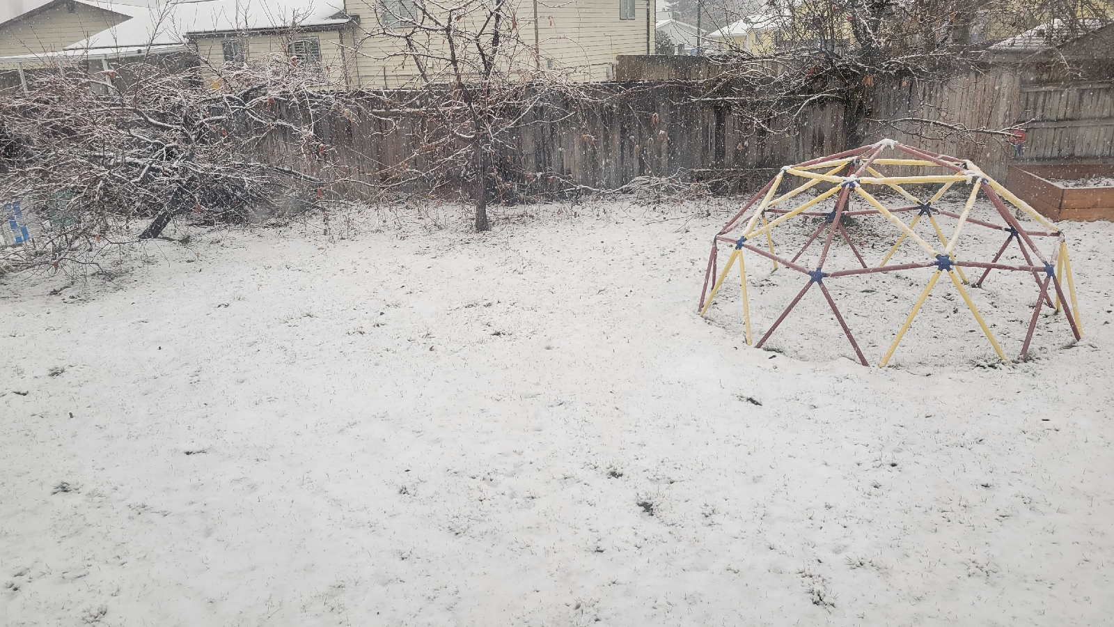 a child's climbing dome in the snow with lightly snowy trees and a fence in the background